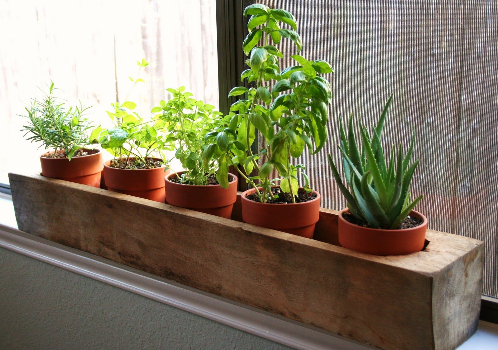 Windowsill Herb Garden Pots