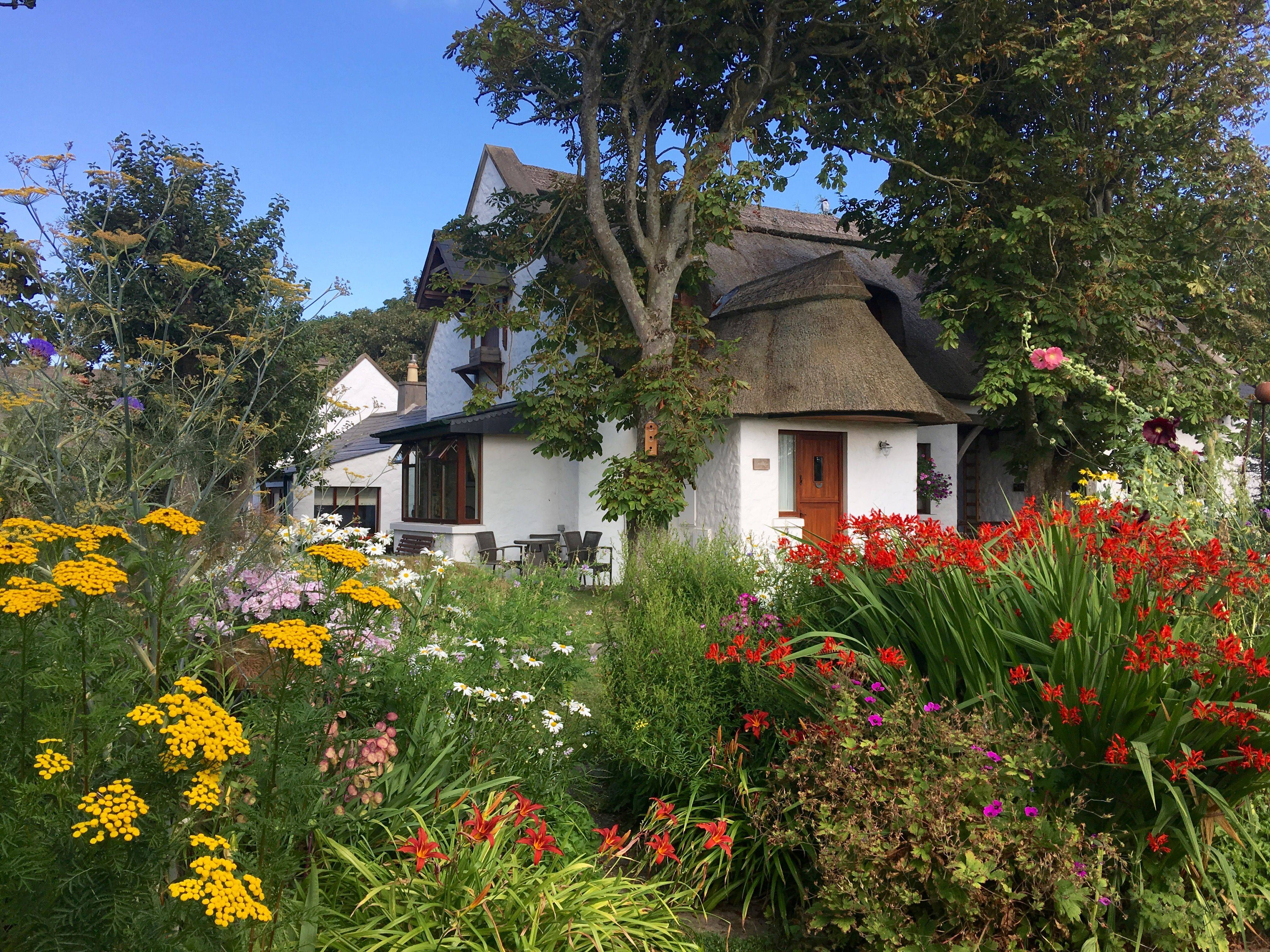 An Overflowing Garden