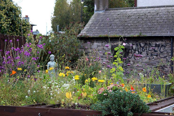 Irish Cottage Garden Cottage Garden