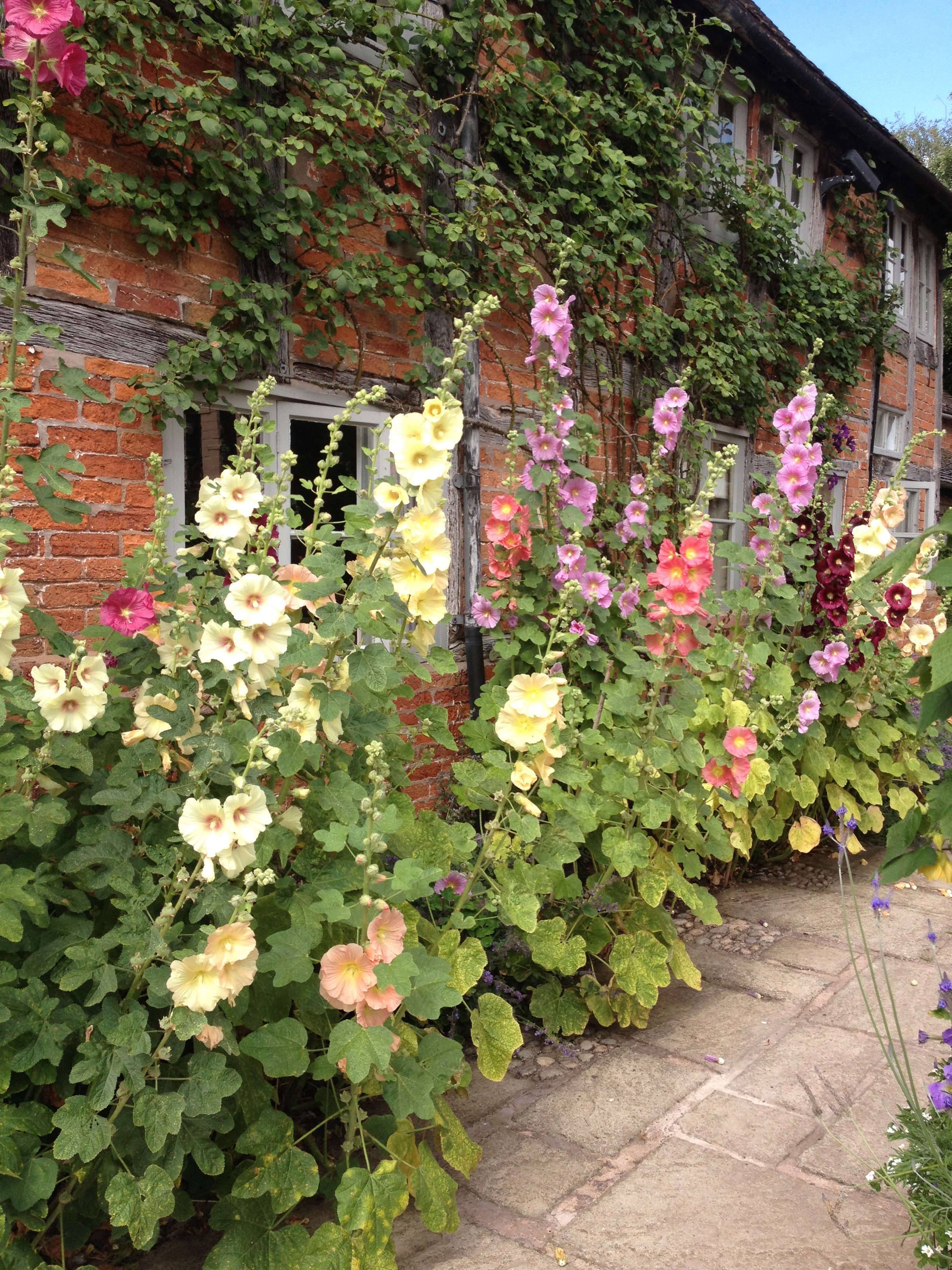 Pretty Cottage Garden Border Ideas Craft