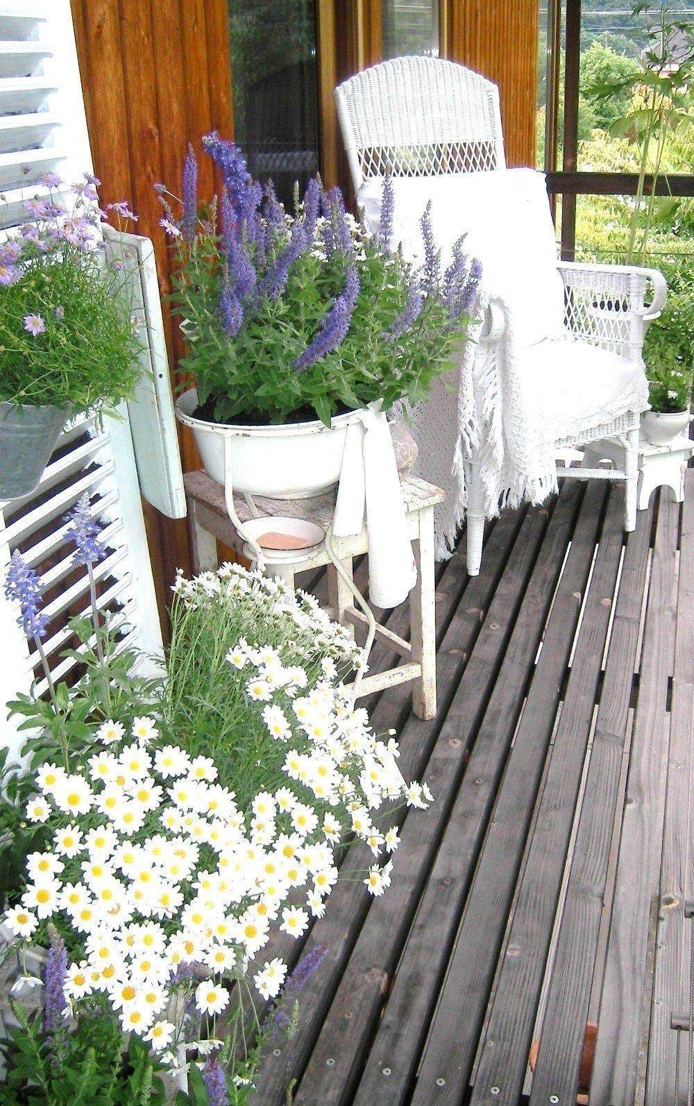 Interesting And Unusual Garden Ideas