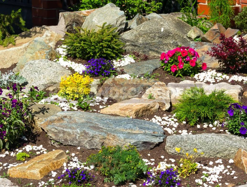 11 Garden Rockeries Ideas You Should Look SharonSable
