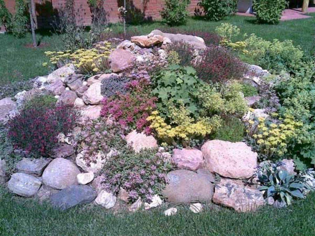 Four Easy Rock Garden Design Ideas