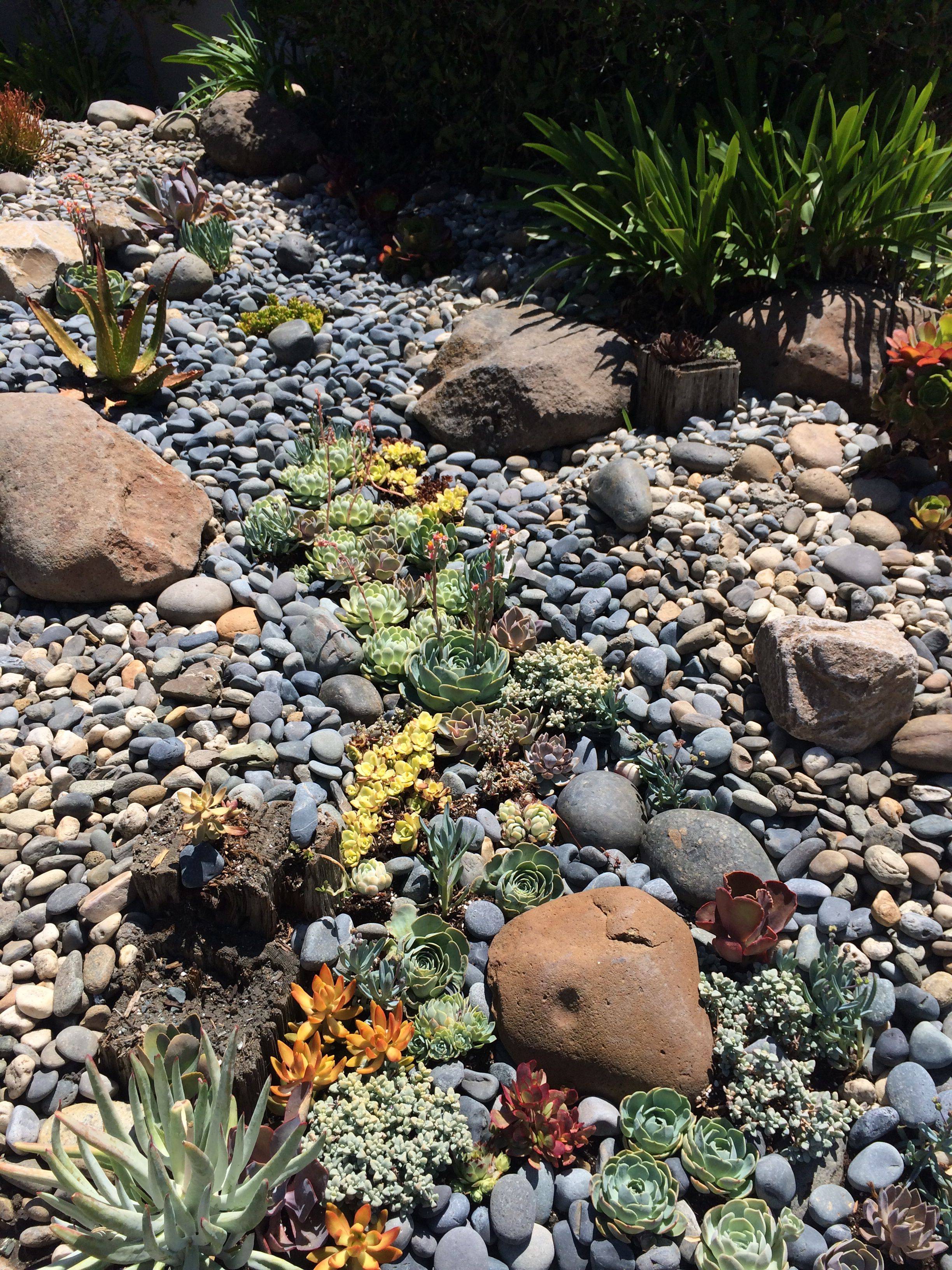 Beautiful Front Yards And Backyard Evergreen Garden Design Ideas