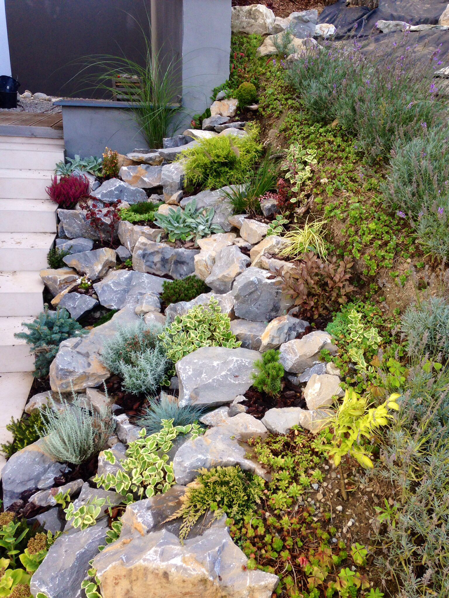 Succulent Landscaping Rock Garden