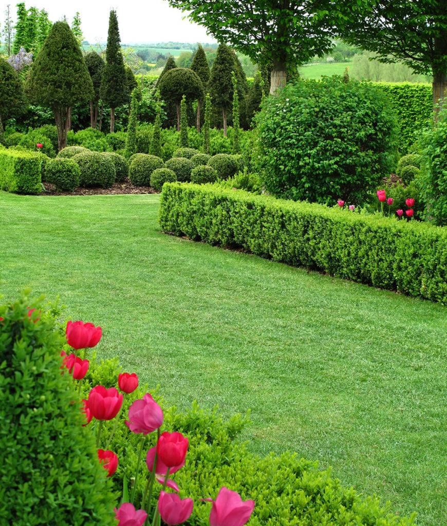 Incredible Garden Hedge Ideas