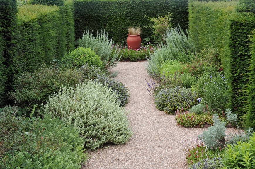 Incredible Garden Hedge Ideas
