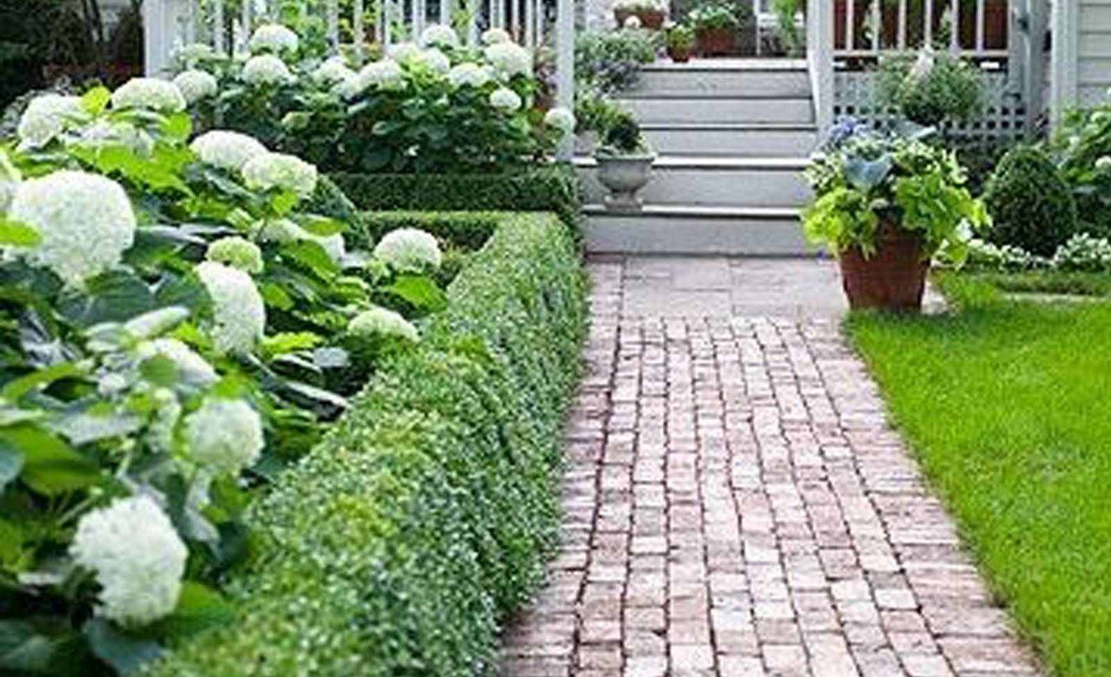 Best Garden Hedges