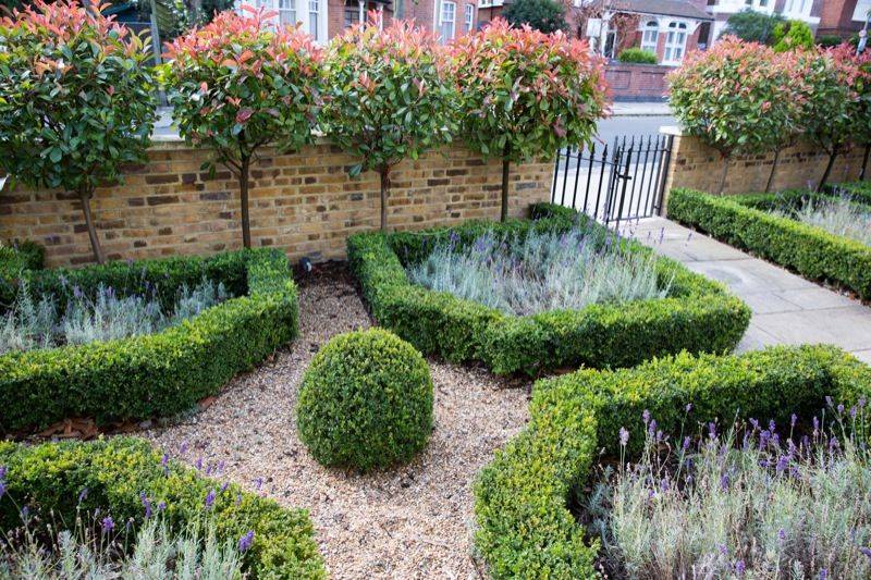 Home Garden Hedges Ideas