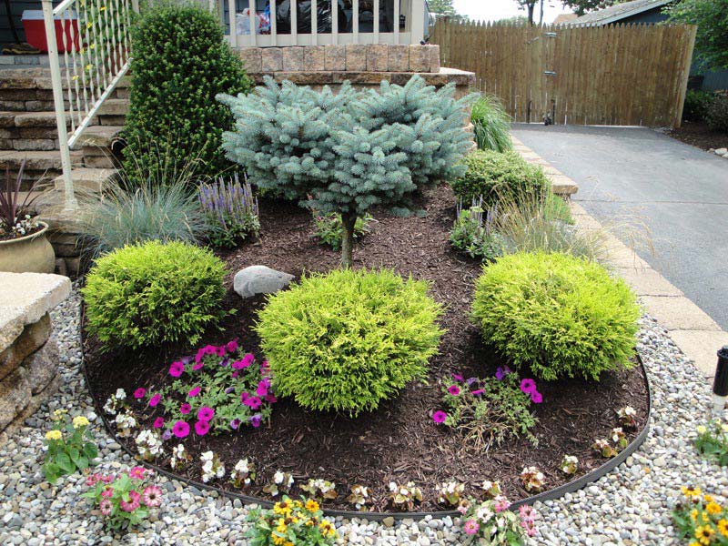 Top Garden Design Ideas Shrubs