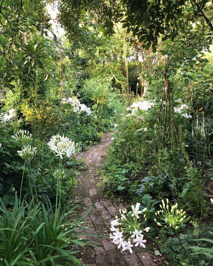 Monty Dons Longmeadow Garden Garden Design