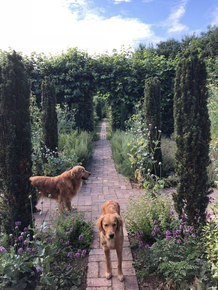 Tour Monty Dons Garden