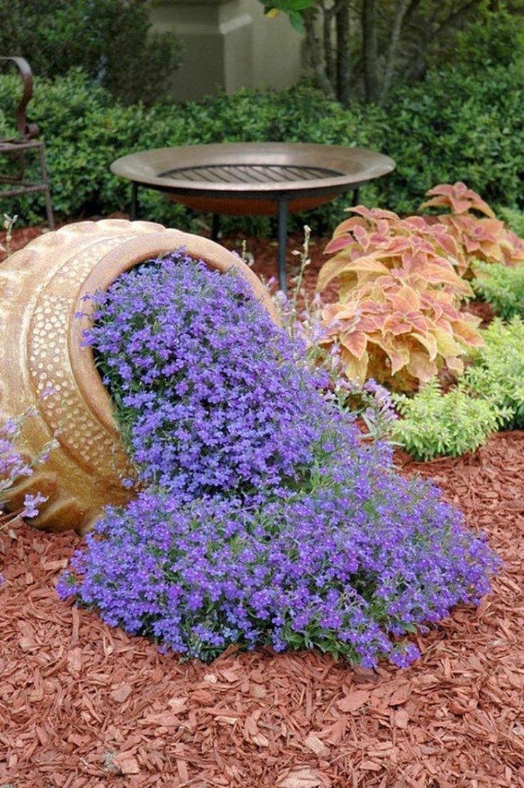 Garden Designs Foundation Shrubs
