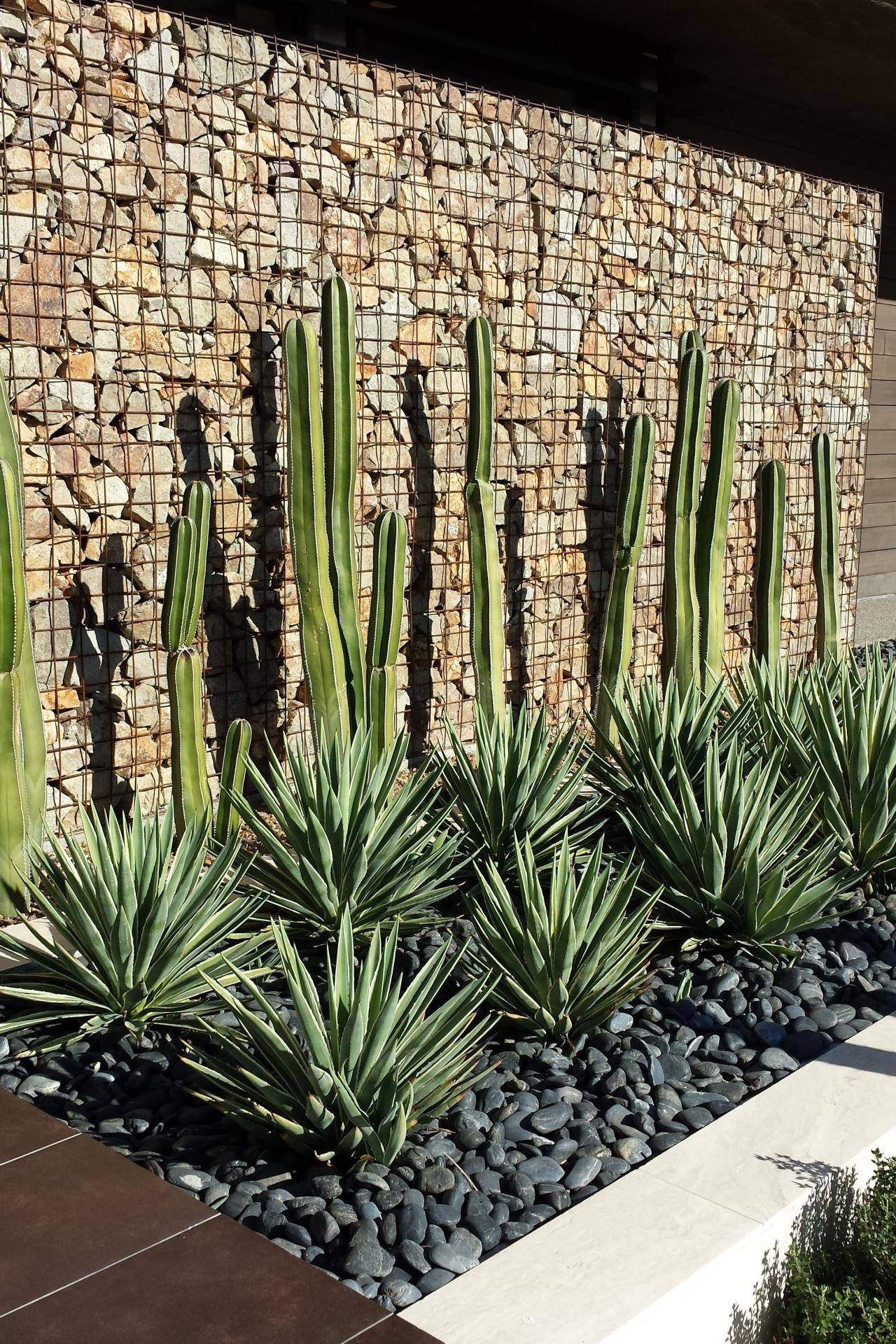 Stunning Desert Garden Ideas