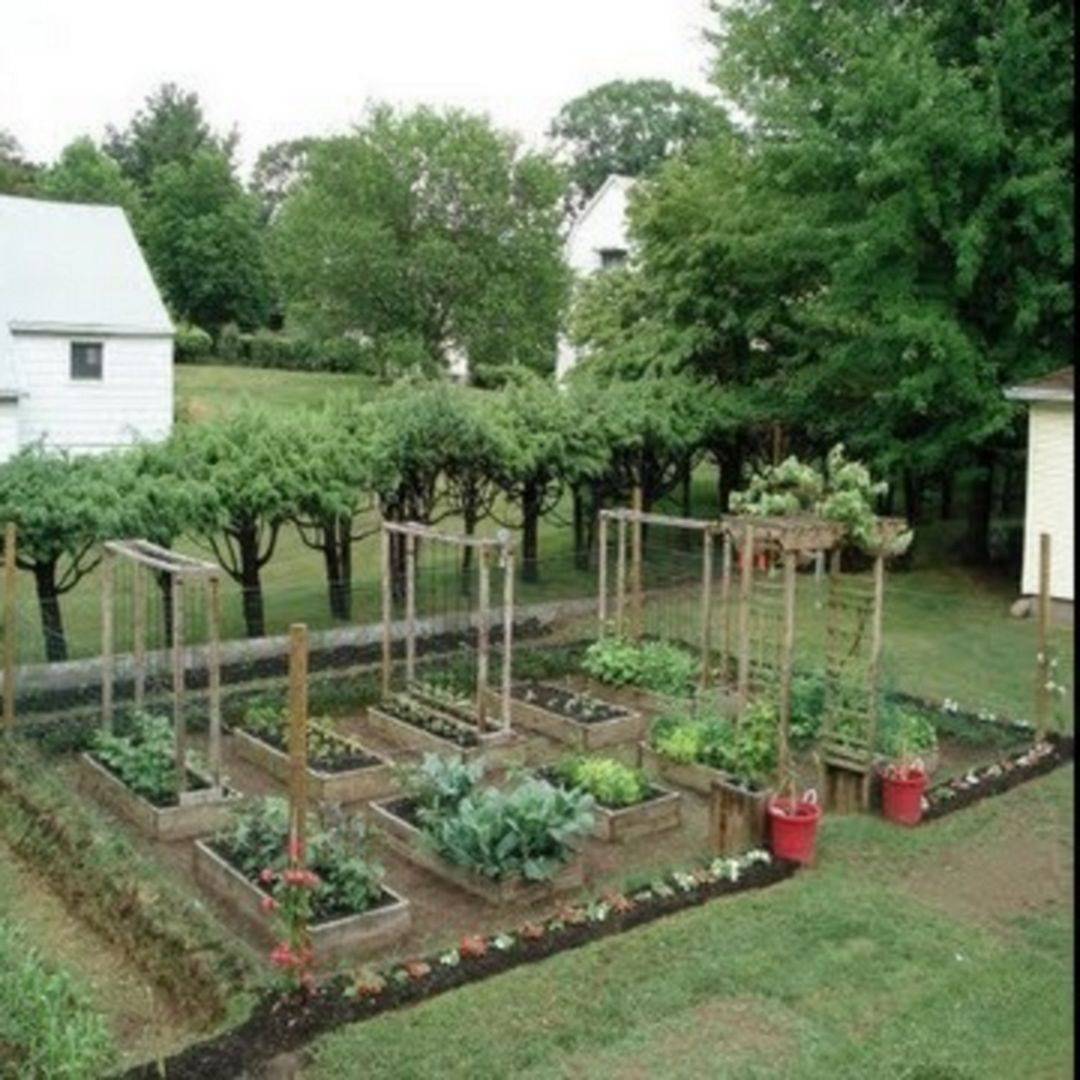 Raised Bed Garden Design Ideas