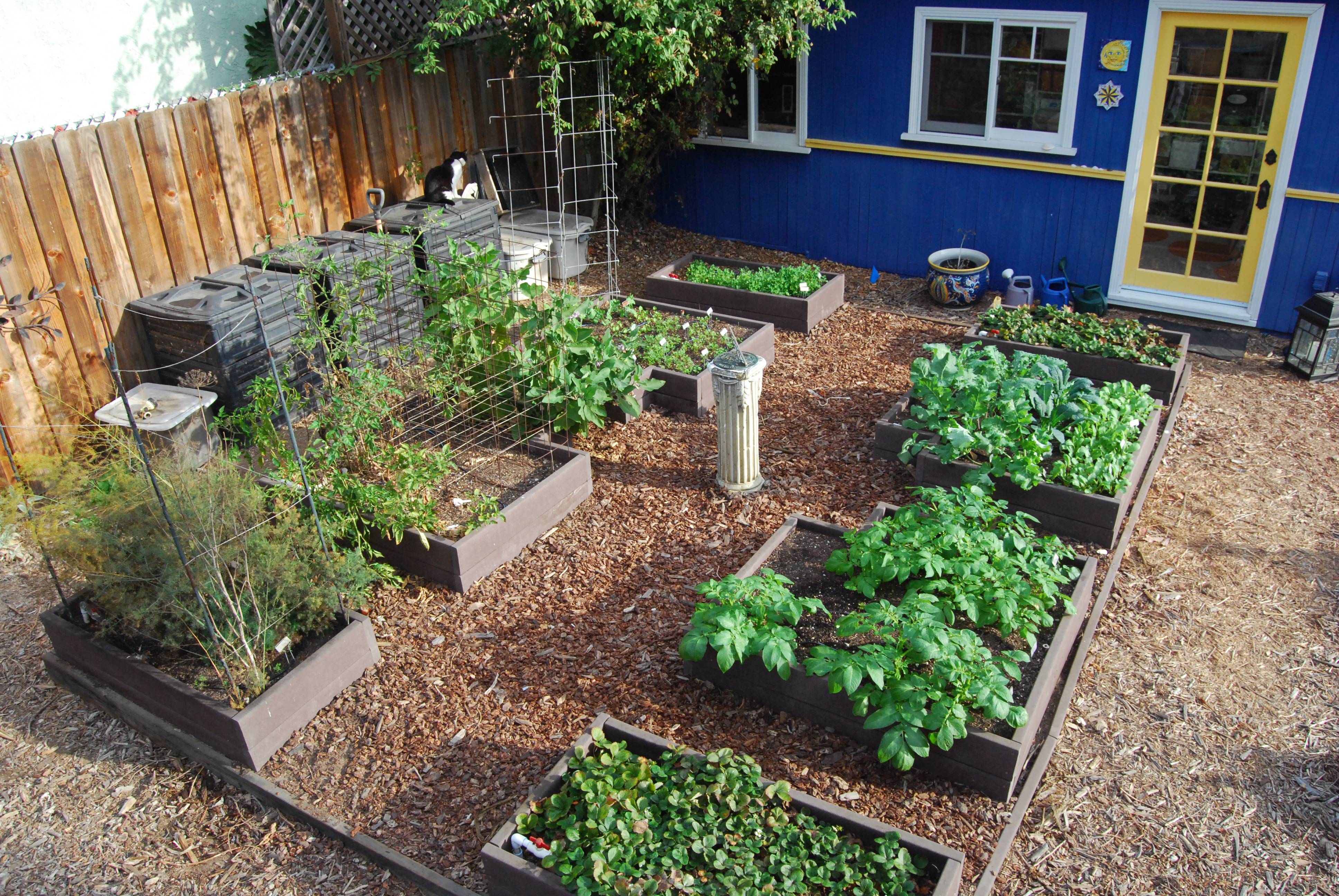 Your Backyard Vegetable Garden