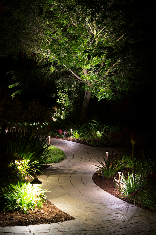 Beautiful Backyard Garden Path