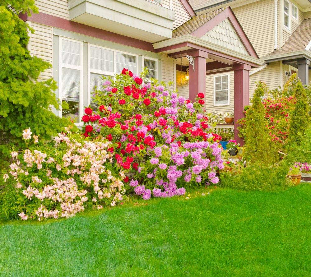 Front Porch Garden Ideas