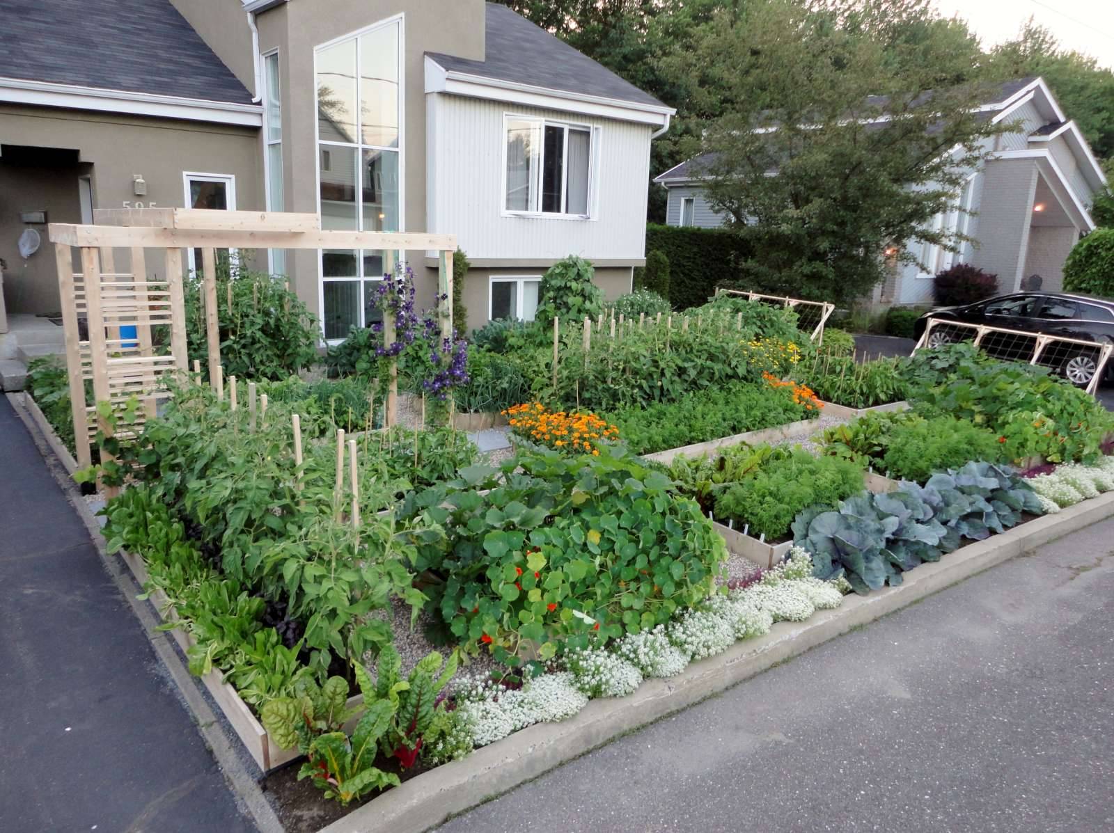 Great Front Yard Vegetable Garden Ideas