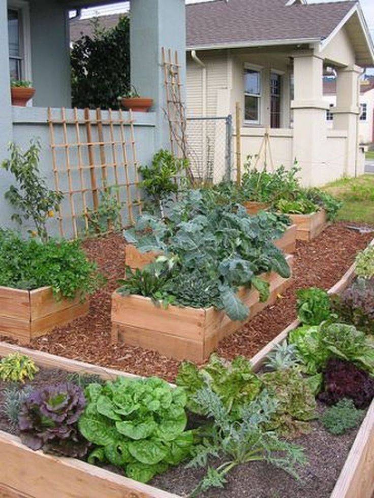 A Front Yard Vegetable Garden