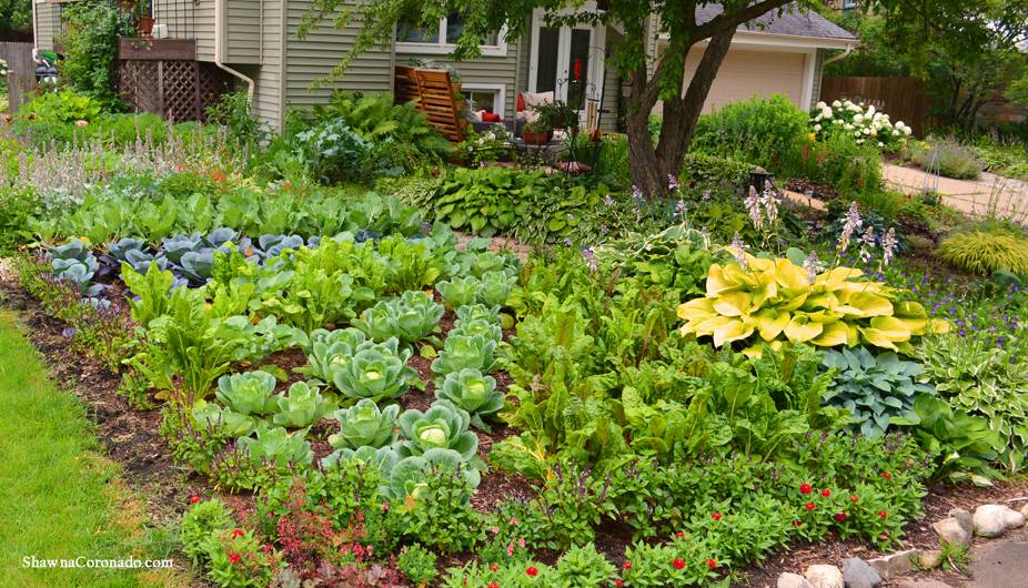 Front Yard Vegetable Garden Design Ideas Youtube