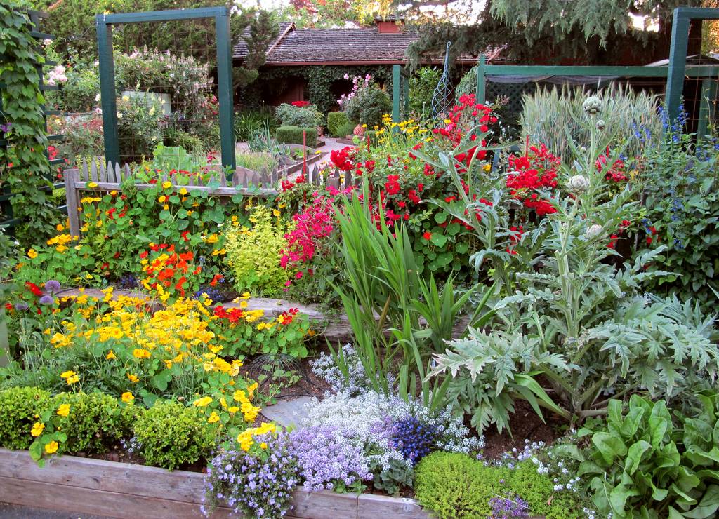 Creative Vegetable Gardener