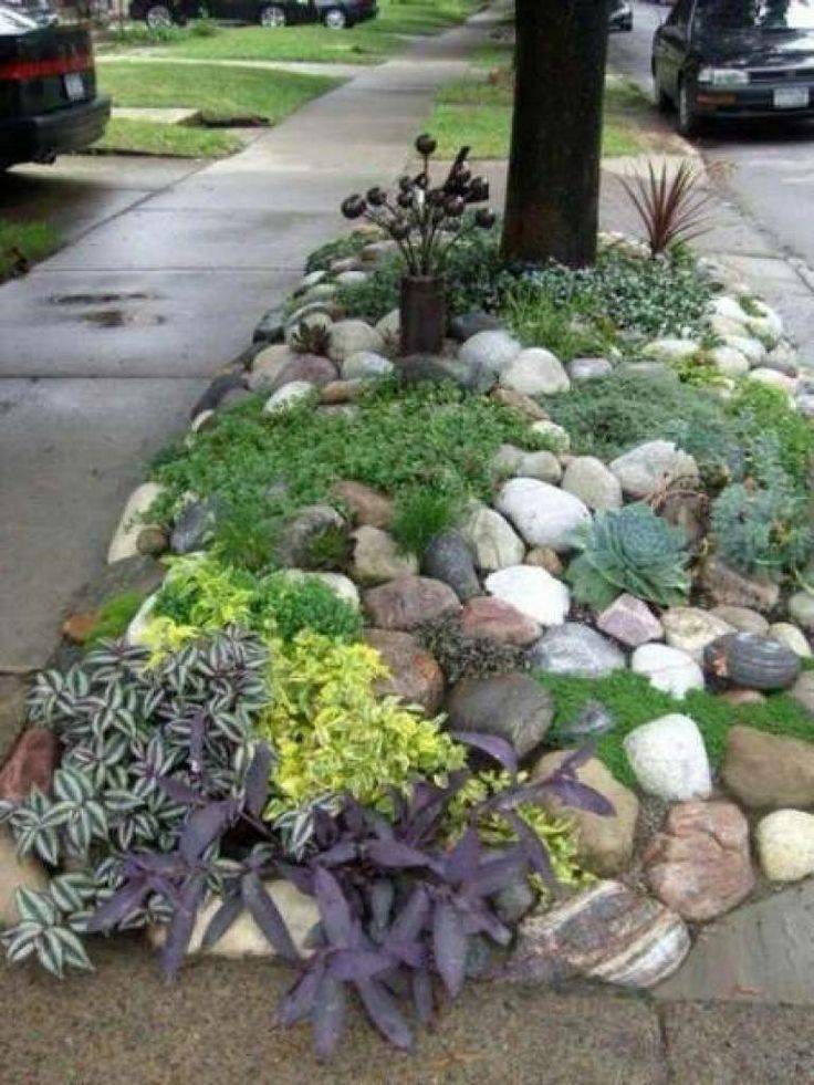 Succulent Rock Garden