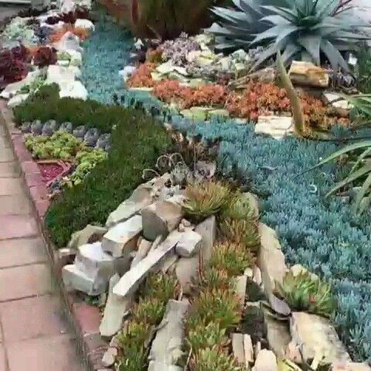 Gorgeous Succulent Garden Ideas