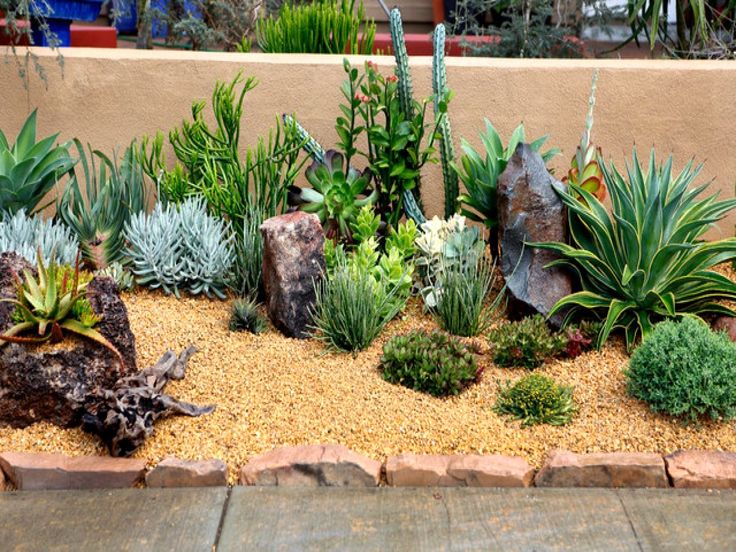 Succulents Front Yard Rock Garden Landscaping Ideas Succulent