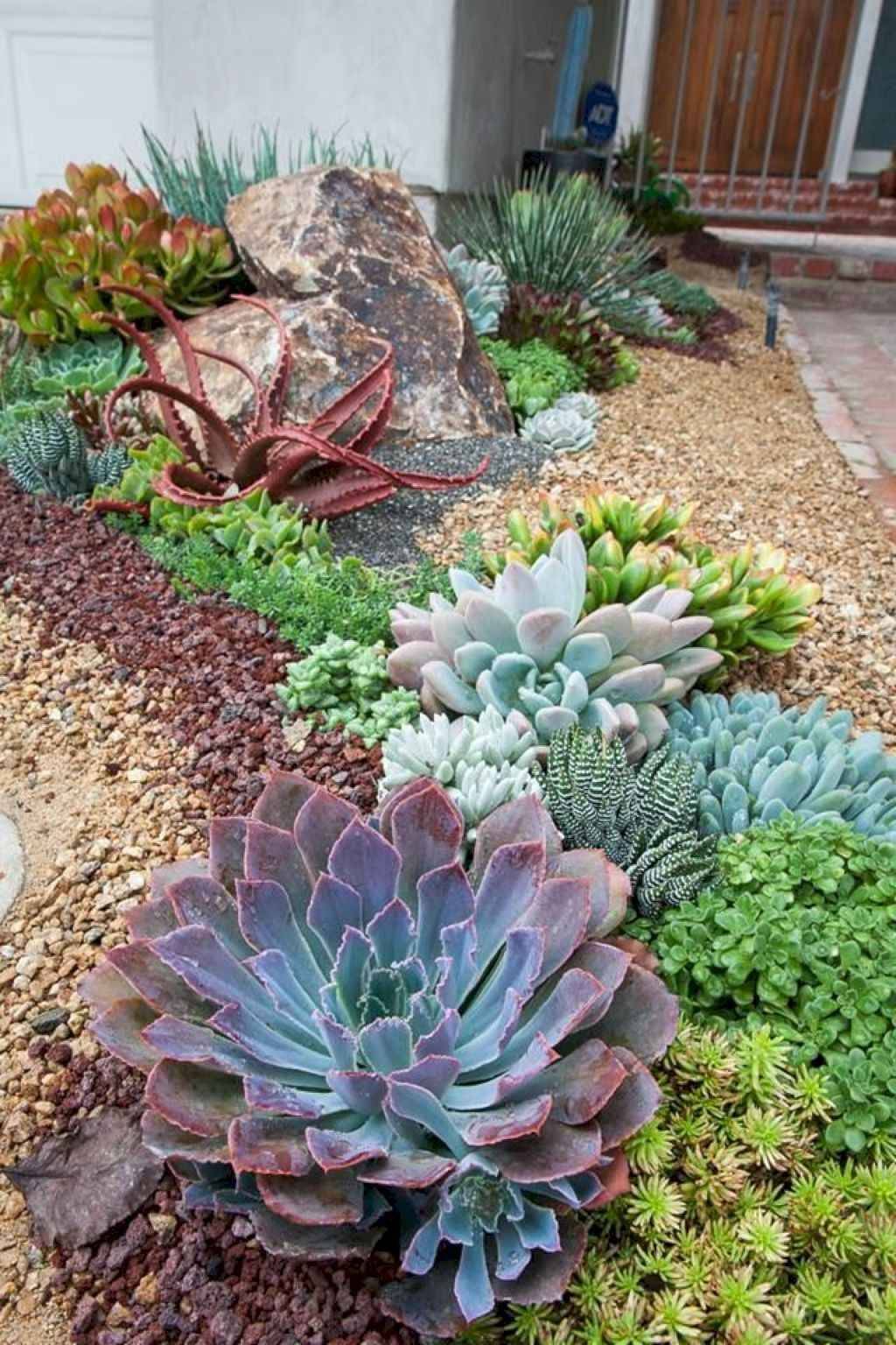 Wonderful Succulent Garden Ideas