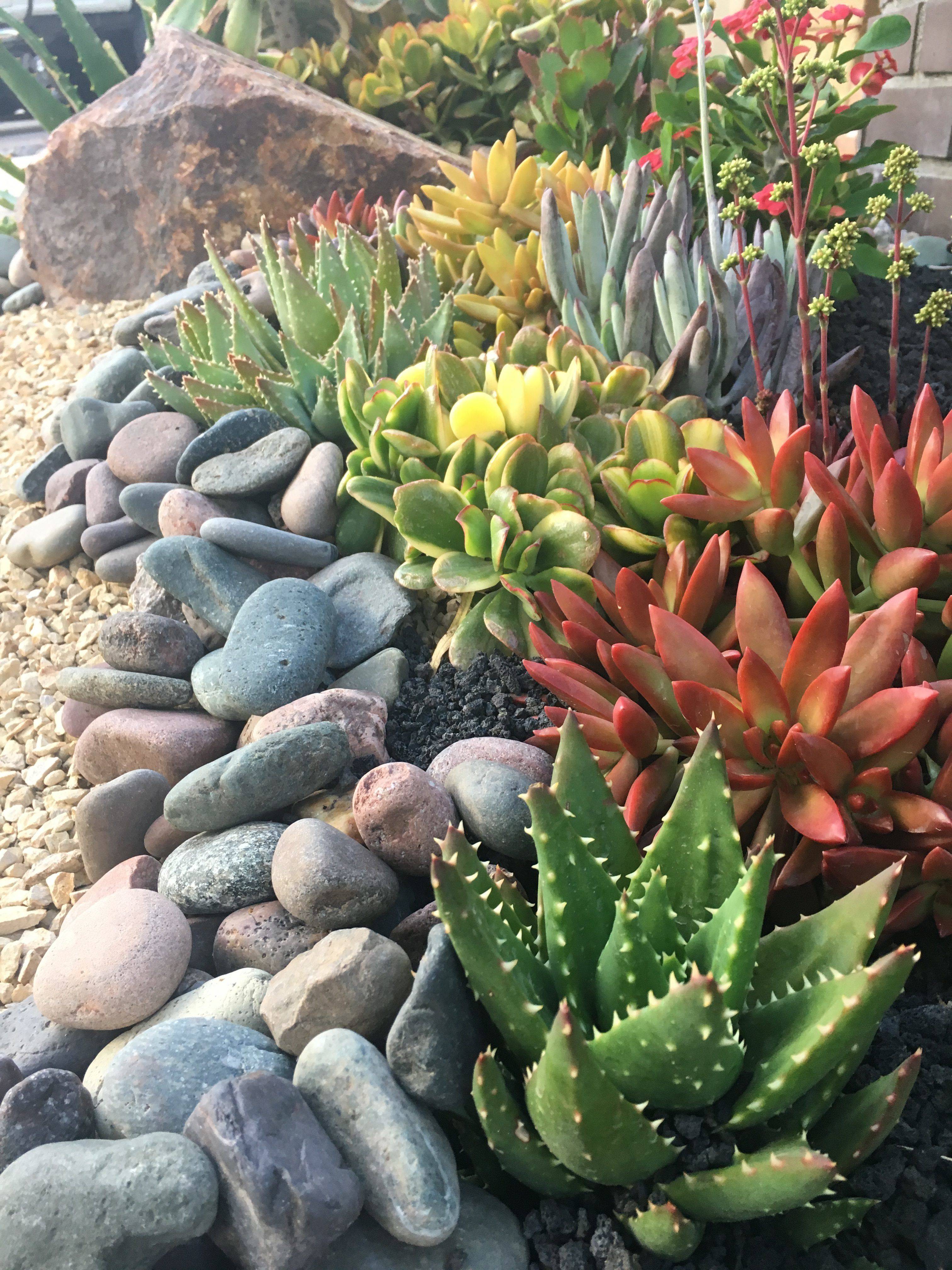 Amazing Modern Rock Garden Ideas