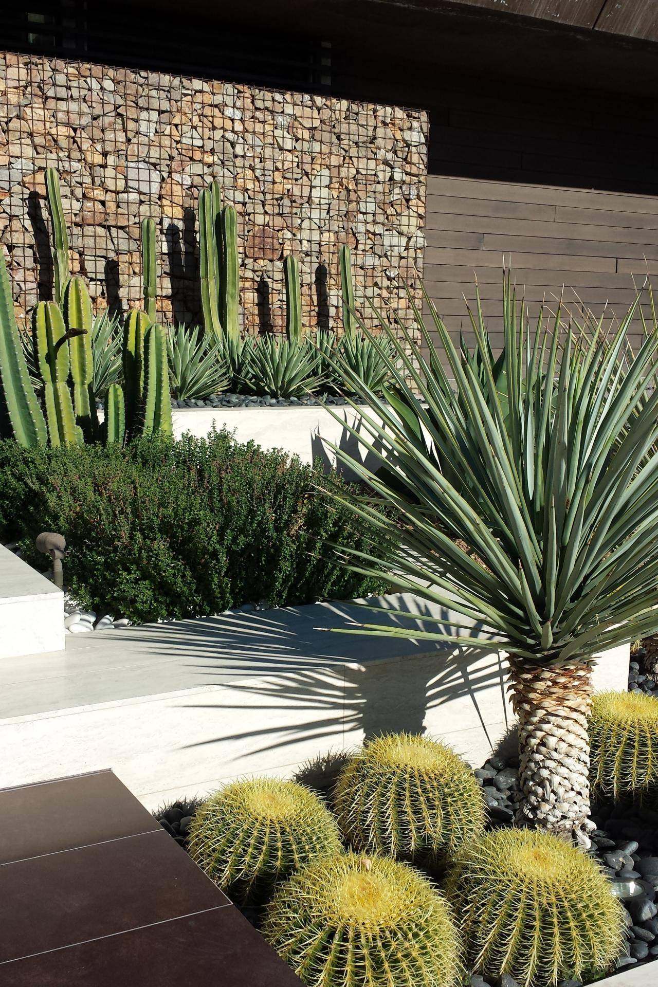 Beautiful Cactus Garden Ideas