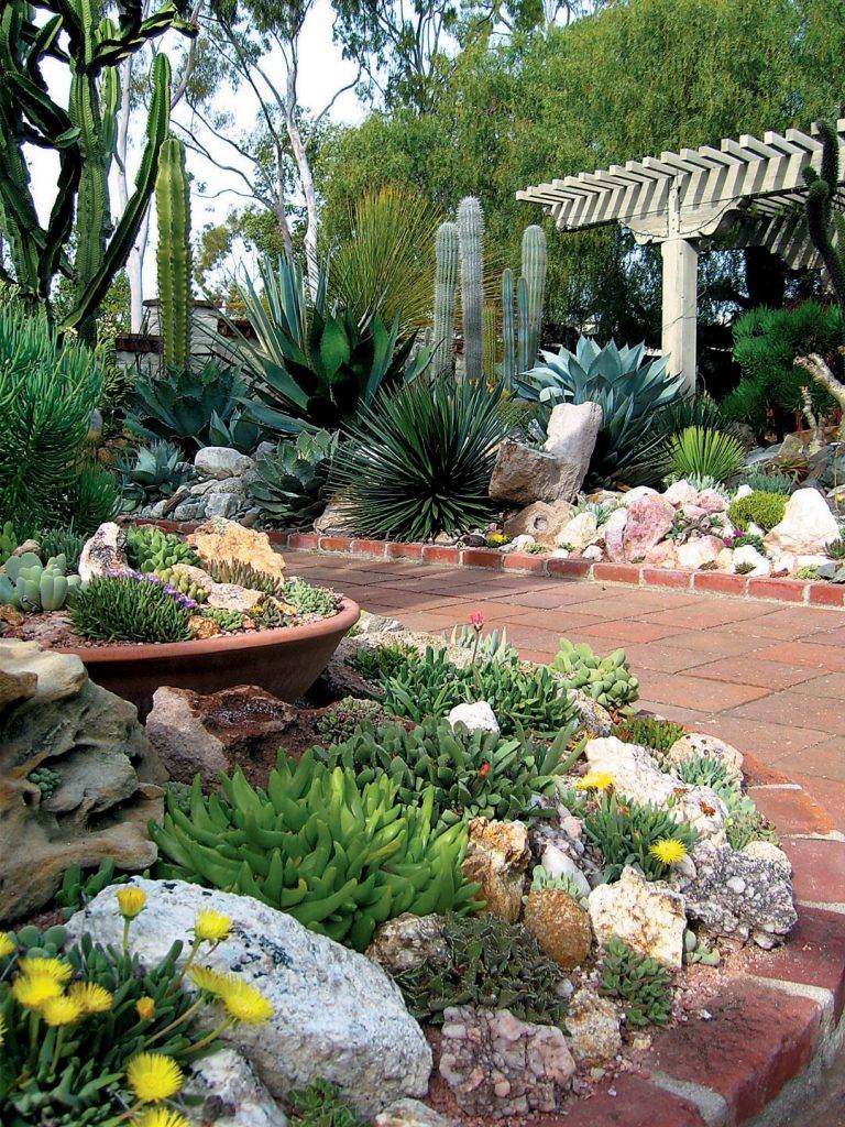 Incredible Cactus Garden Landscaping Ideas Best