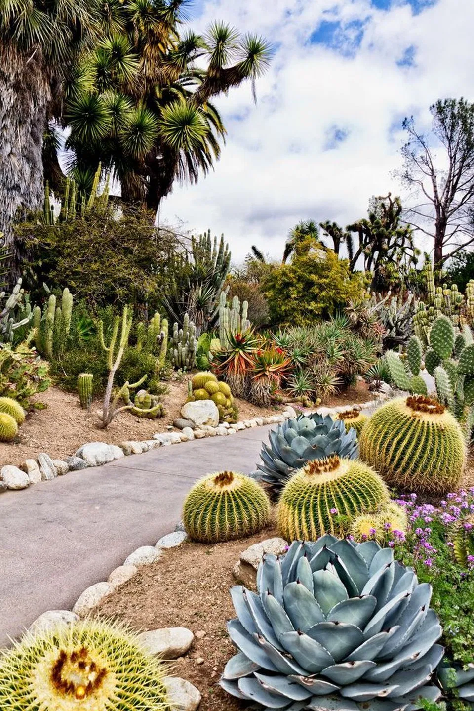 Incredible Cactus Garden Landscaping Ideas Best