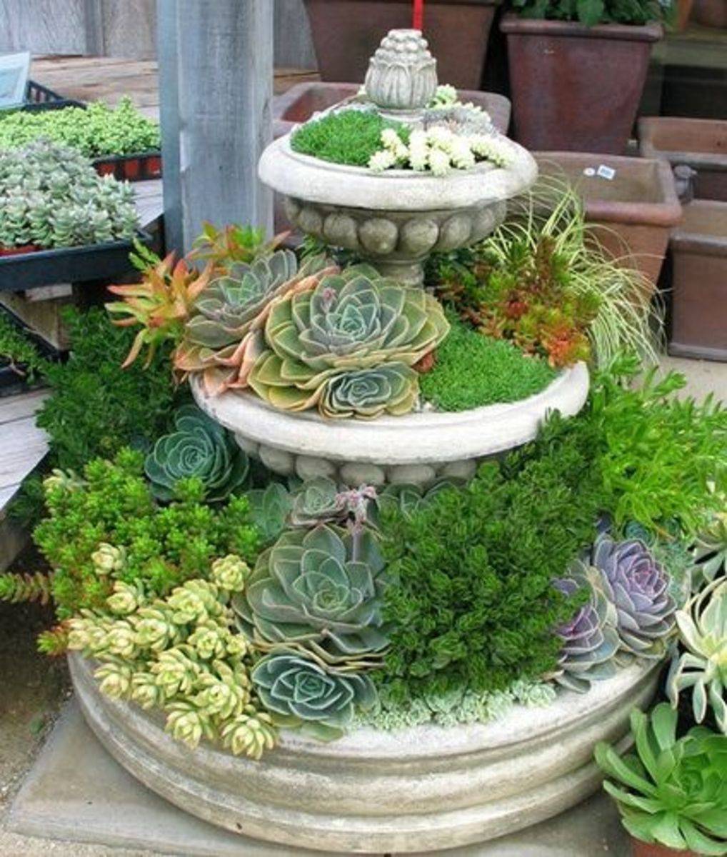 Magical Diy Succulent Fairy Garden Ideas