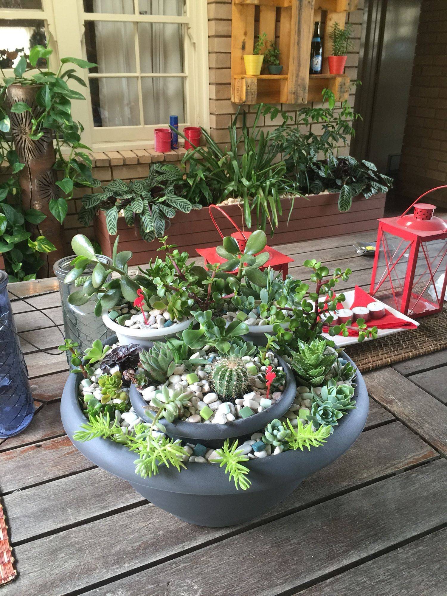 Outdoor Small Succulent Garden Ideas