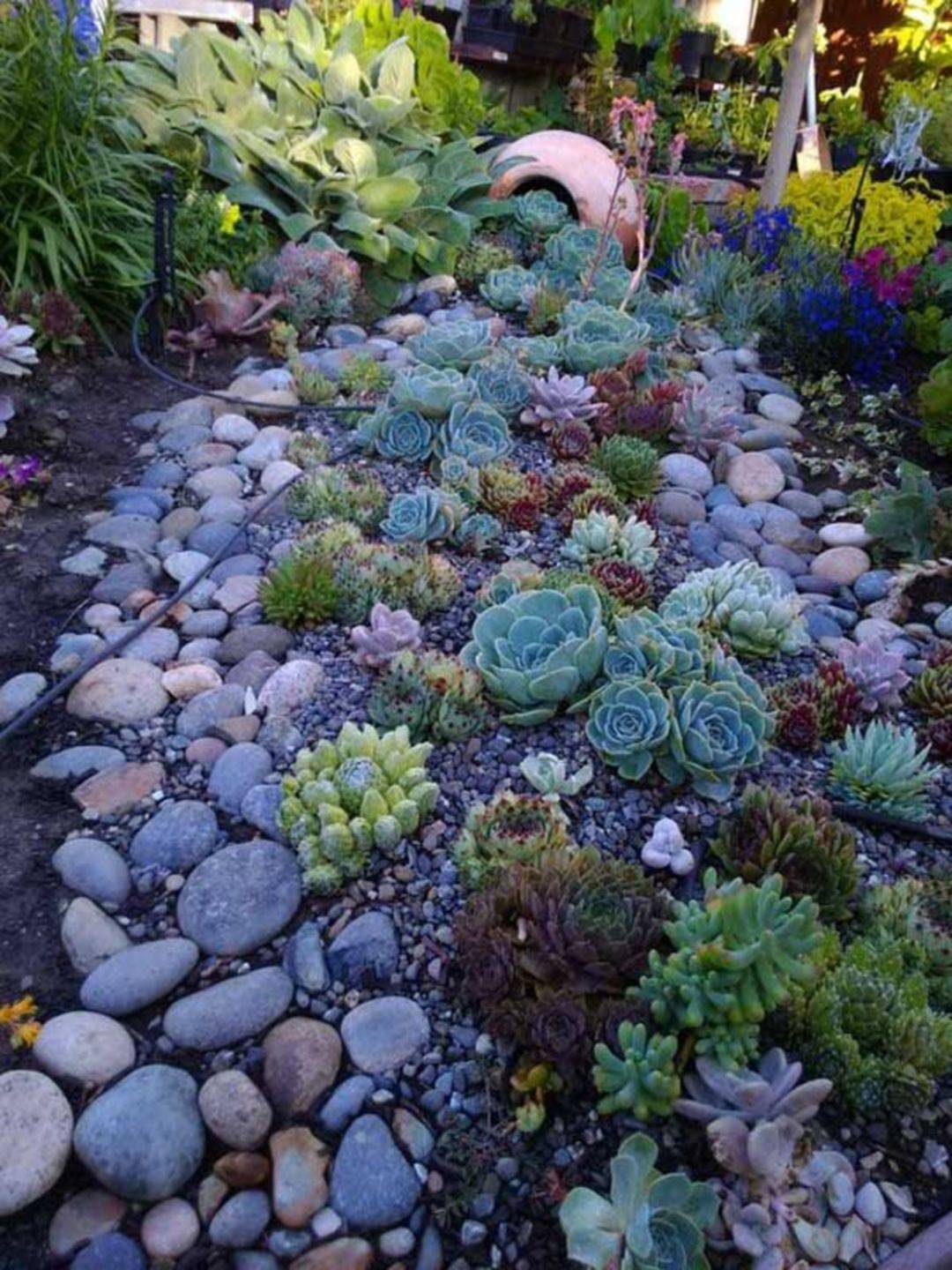 Stunning Front Yard Rock Garden Landscaping Ideas