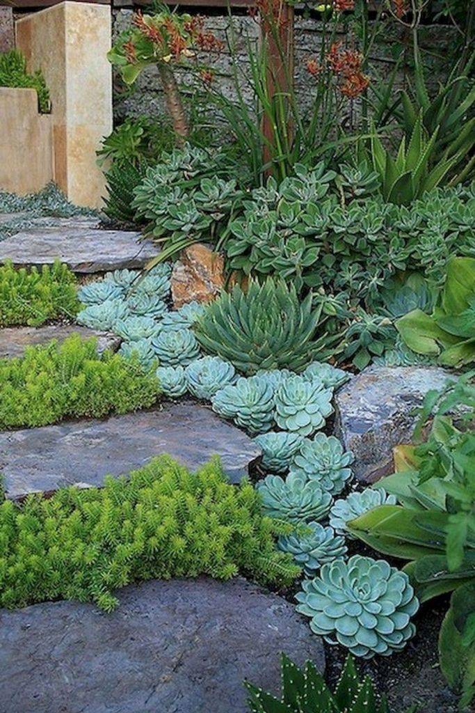Succulent Border Rock Garden Basic Gardens