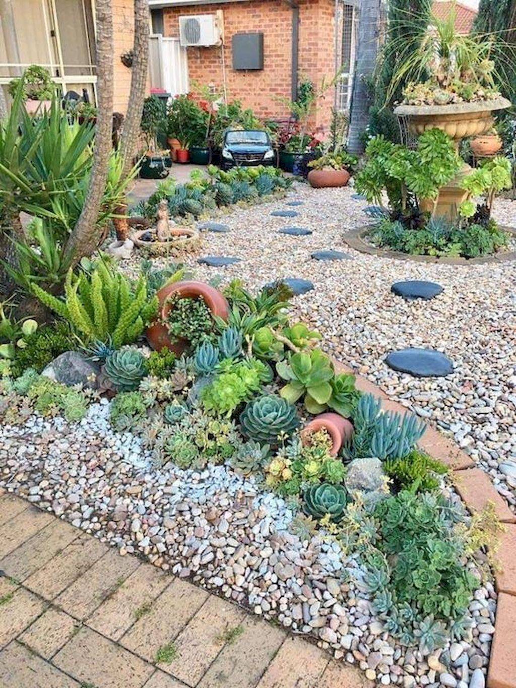 Succulent Rock Garden Designs Black Gold