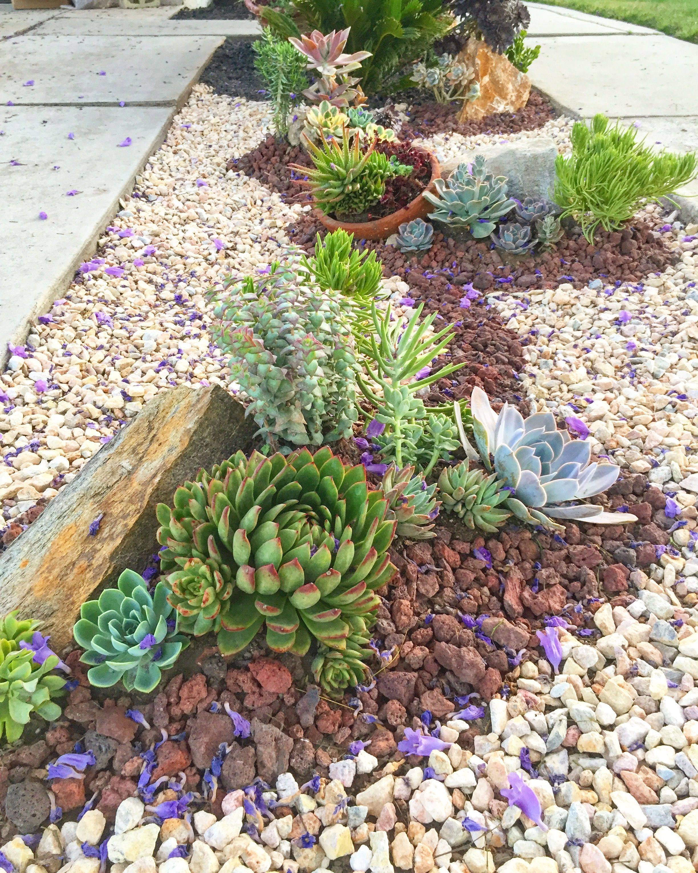 Wonderful Front Yard Landscaping Ideas Succulent Garden Design