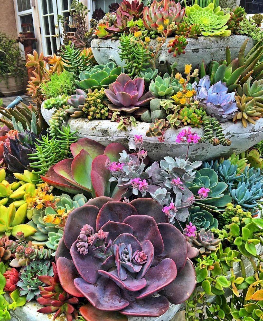 Rock Garden Landscaping