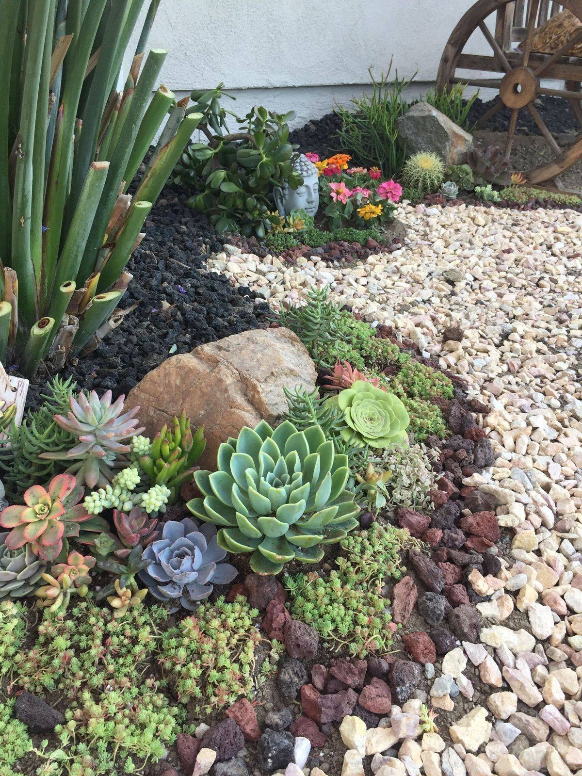 Top And Unique Diy Succulent Garden Design