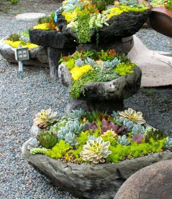 Incredible Cactus Garden Landscaping Ideas Best