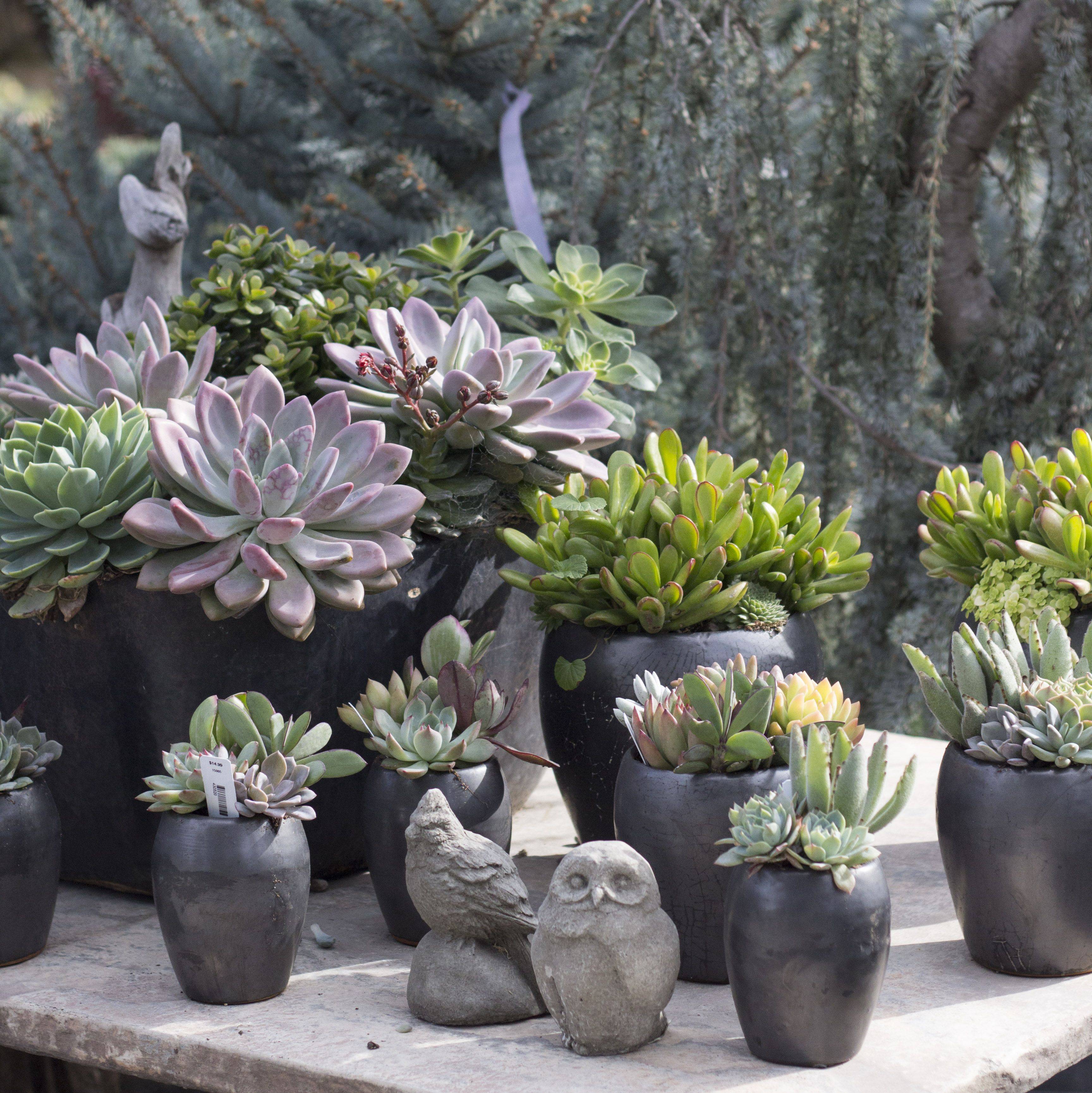 Perfect Little Creek Bed