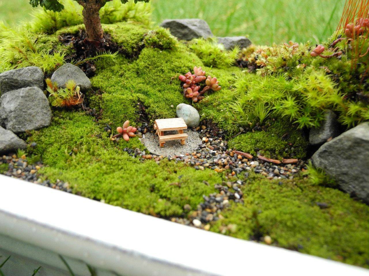 A Japanese Moss Garden