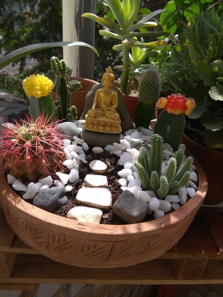 Your Zen Garden Contemporist