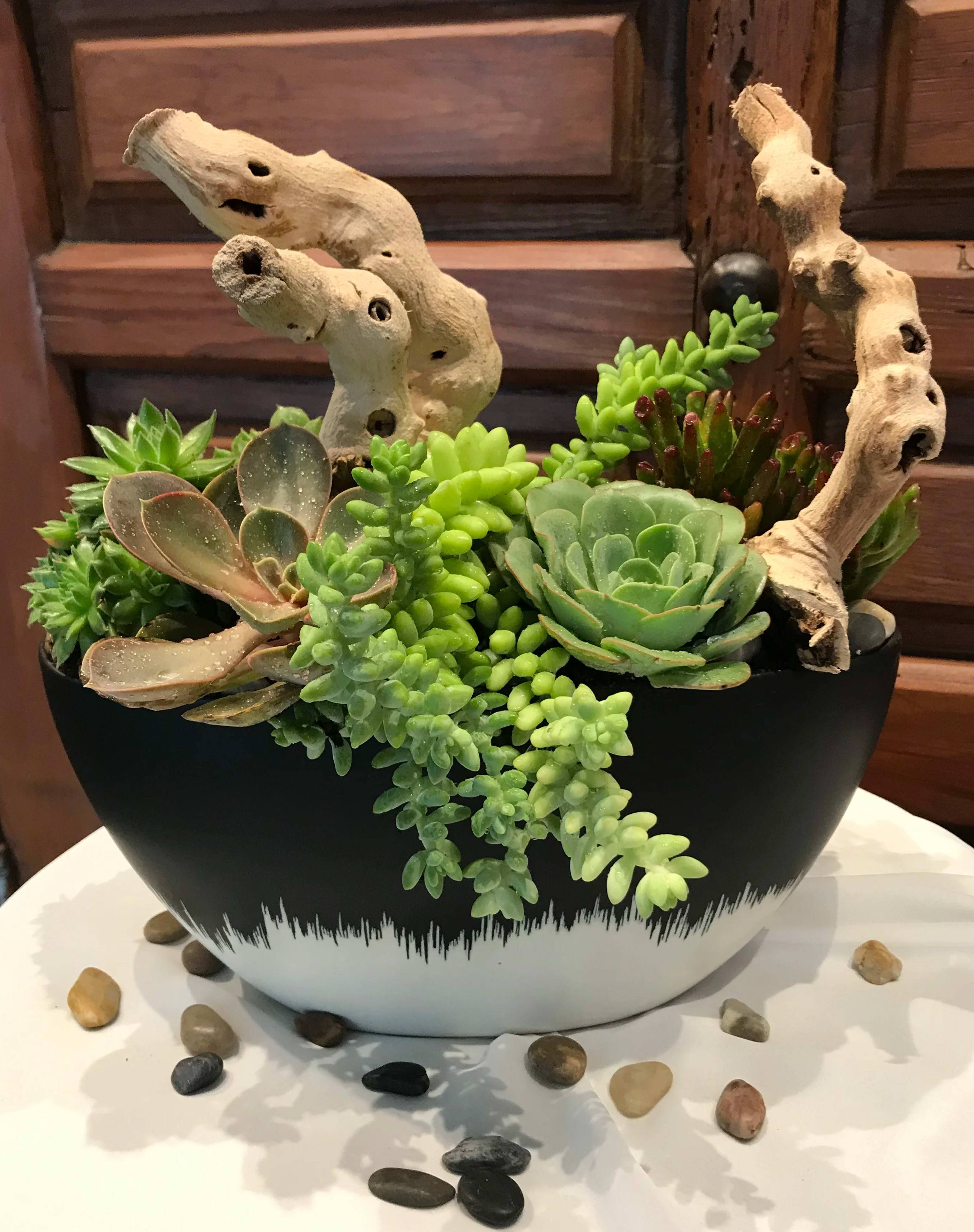 Miniature Garden Zen Garden