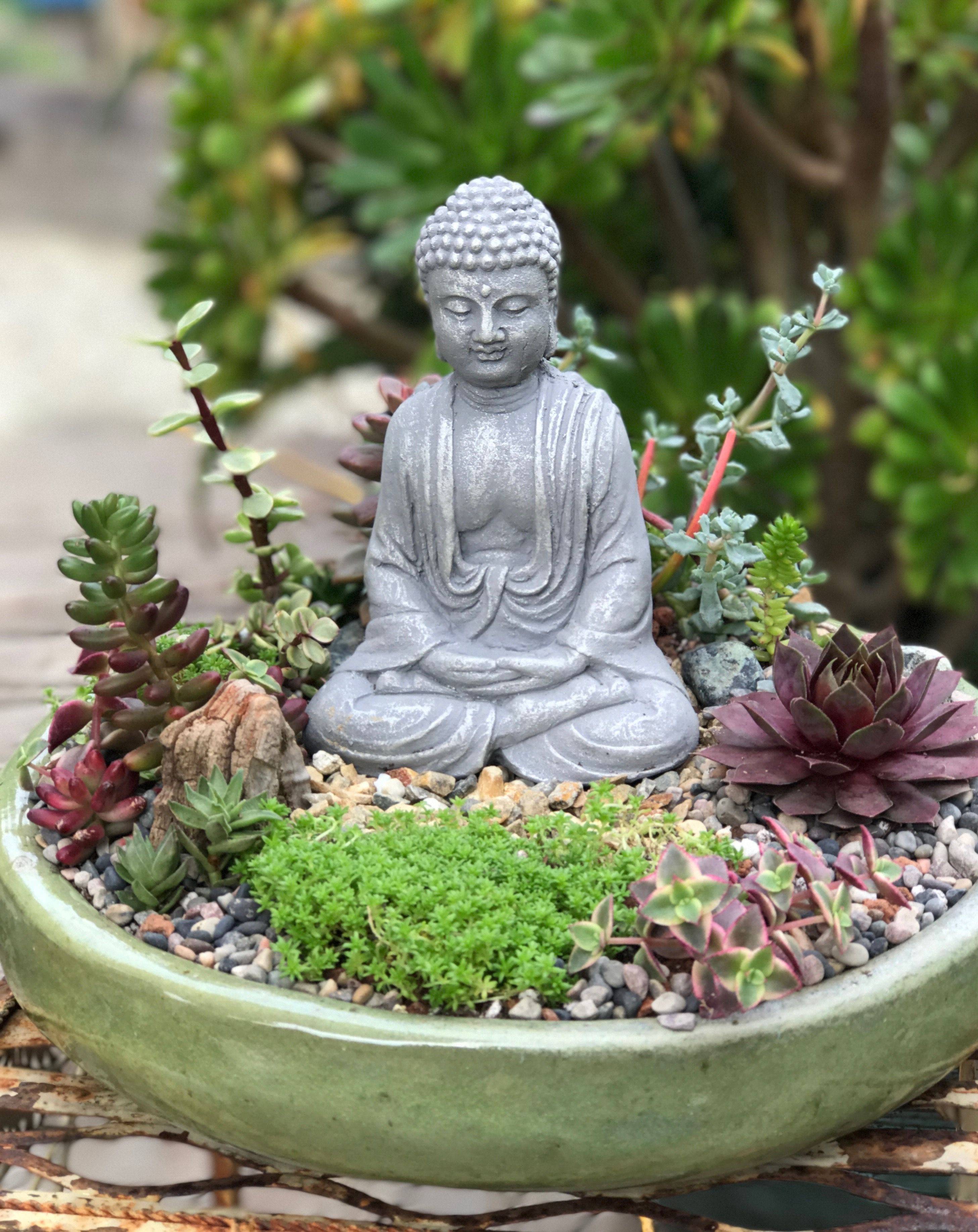 Succulents Succulent Zen Garden