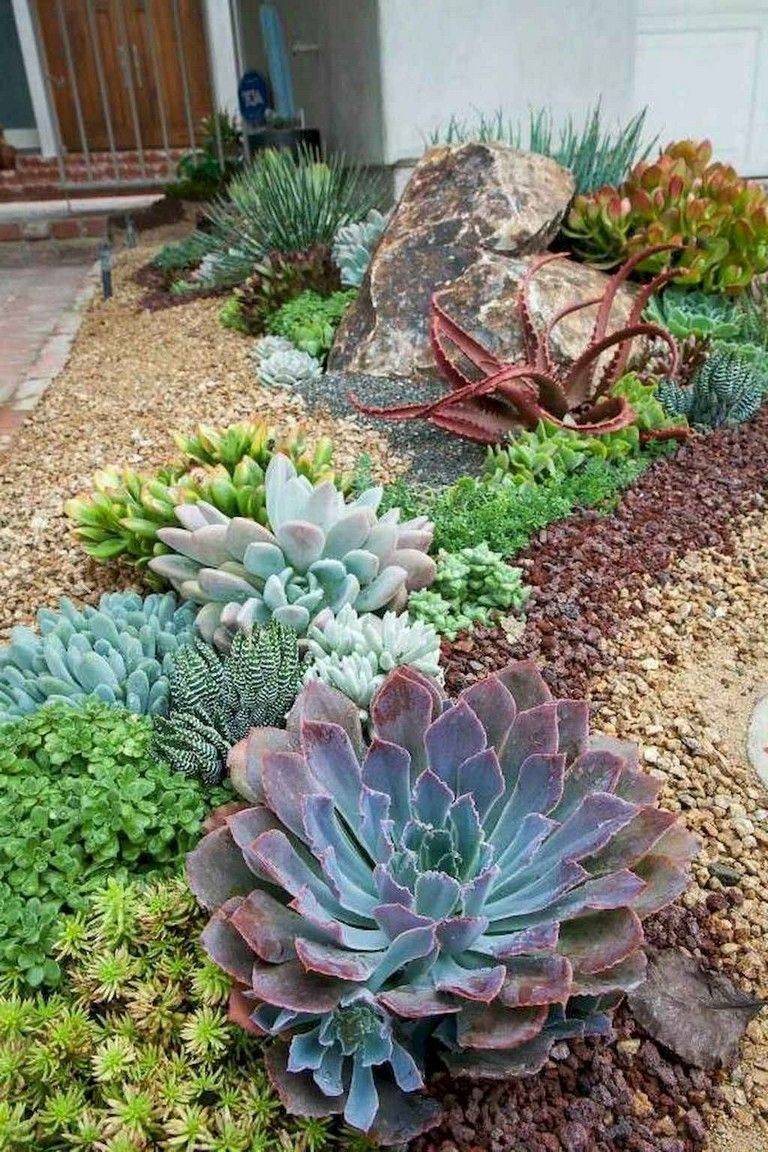 Garden And Bliss Succulent Landscaping