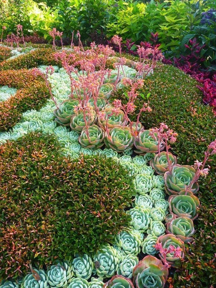 Garden Ideas